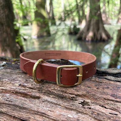The Delta Collar