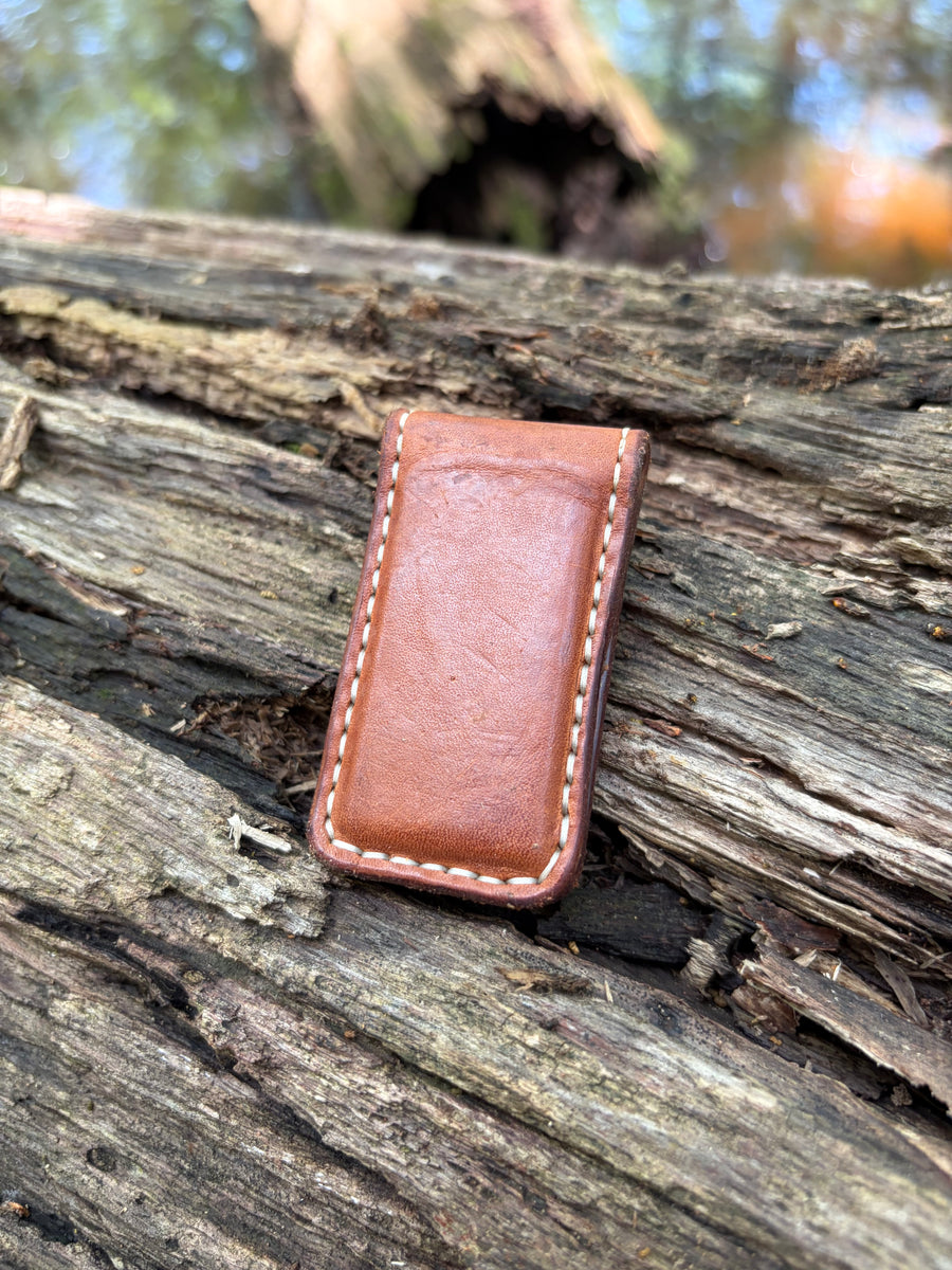 Neodymium Money Clip
